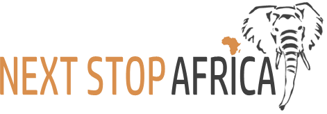 Next Stop Africa Logo-PNG